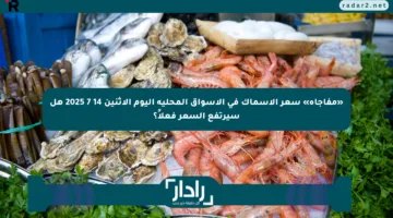 «مفاجأة» سعر الأسماك في الأسواق المحلية اليوم الإثنين 14 7 2025 هل سيرتفع السعر فعلاً؟